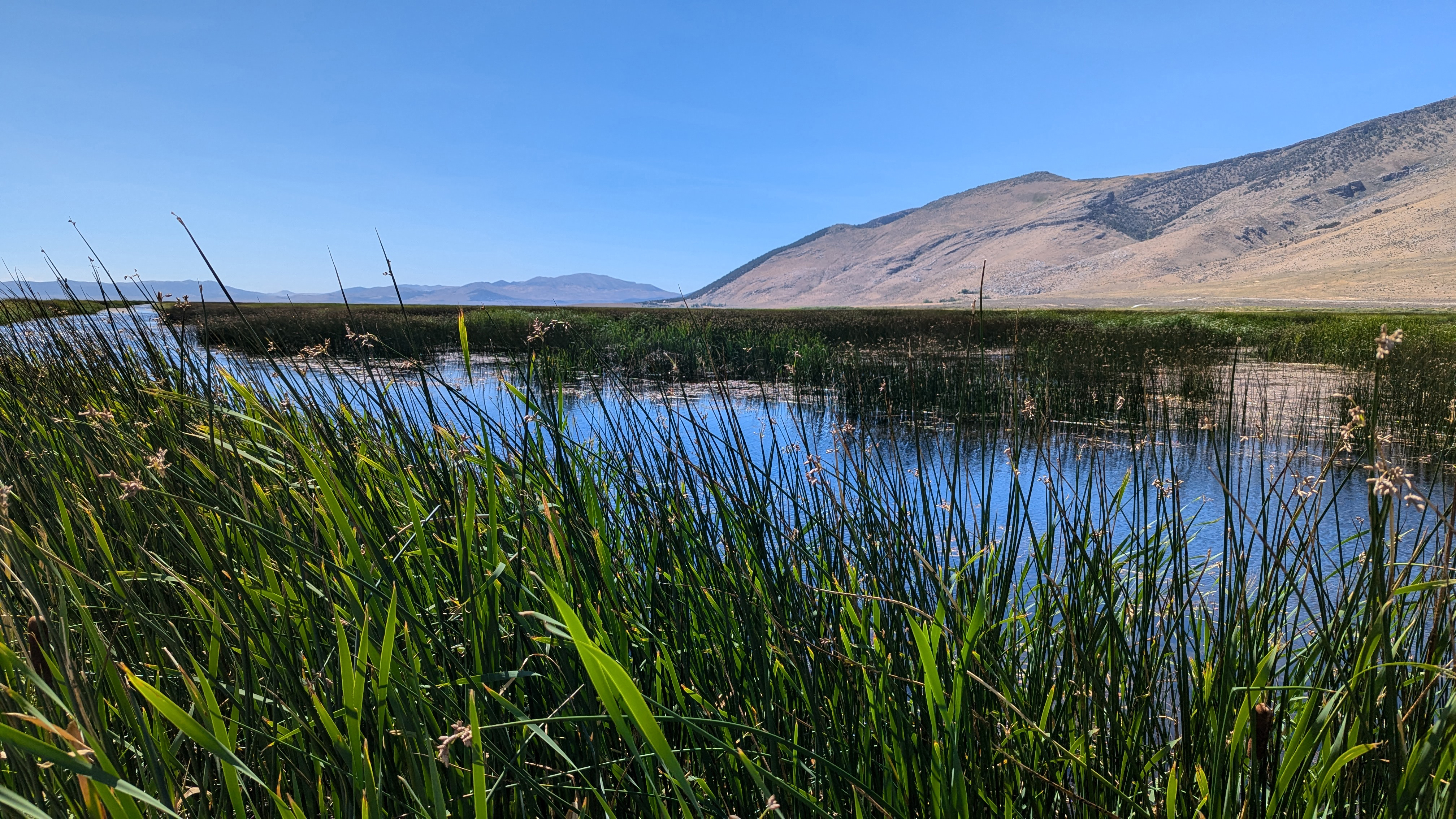 Download a zipped file of promotional materials in the Additional Assets section below.